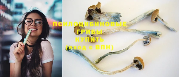 дмт Верея