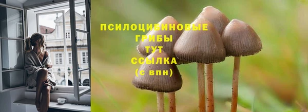 дмт Верея