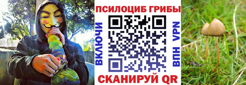 Галлюциногенные грибы прущие грибы Дмитров
